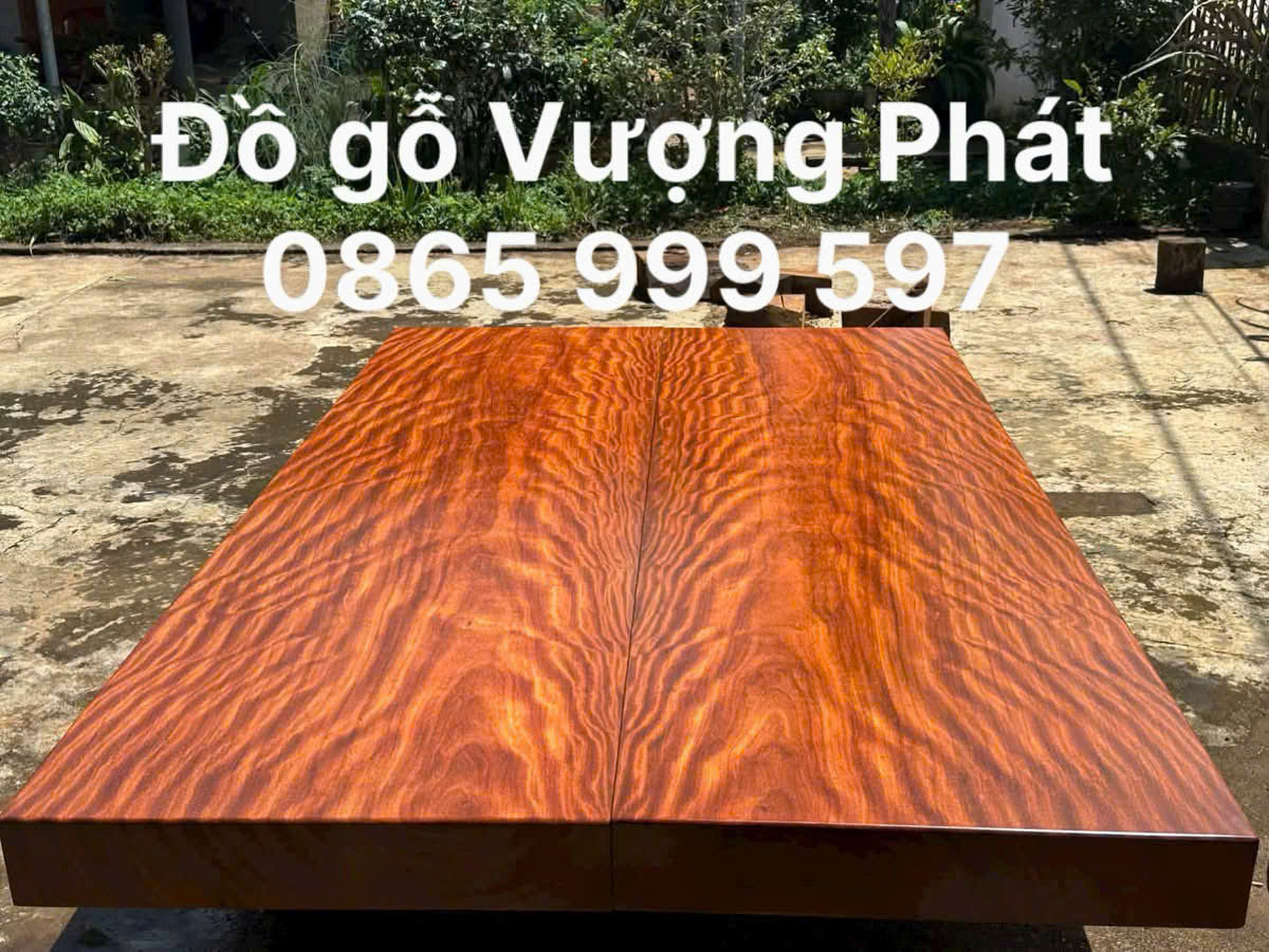 1784343457638_2056904955492263995_4230681353285823_h